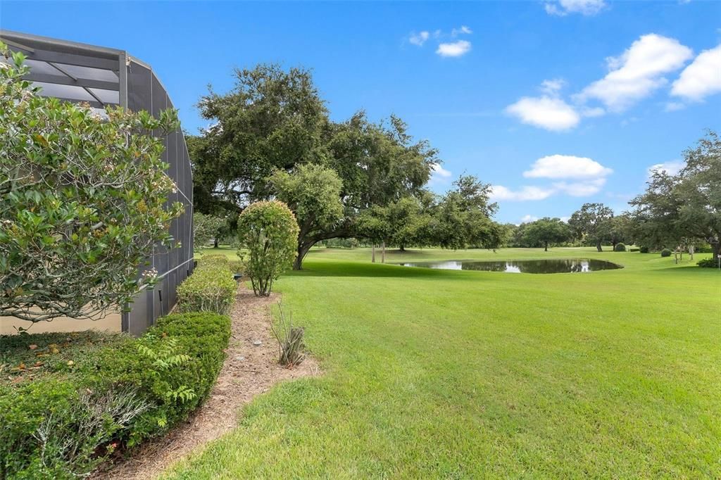 Backyard Area with Pond View