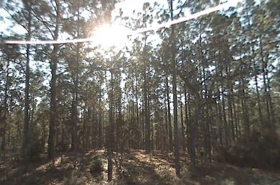 Vendido Recientemente: $9,000 (0.24 acres)