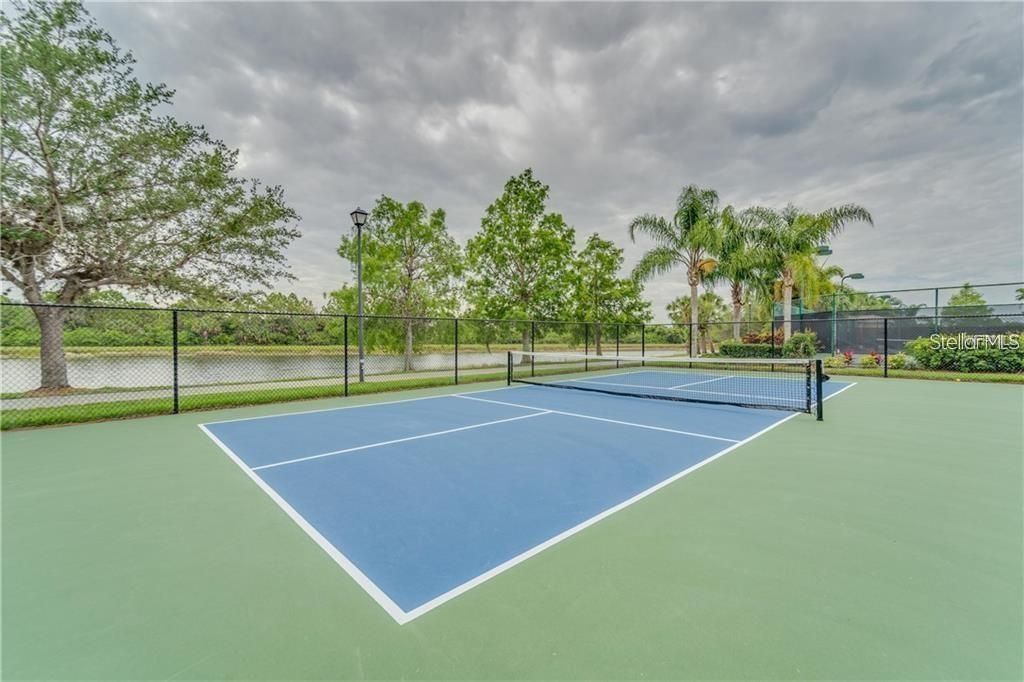 Pickleball Court