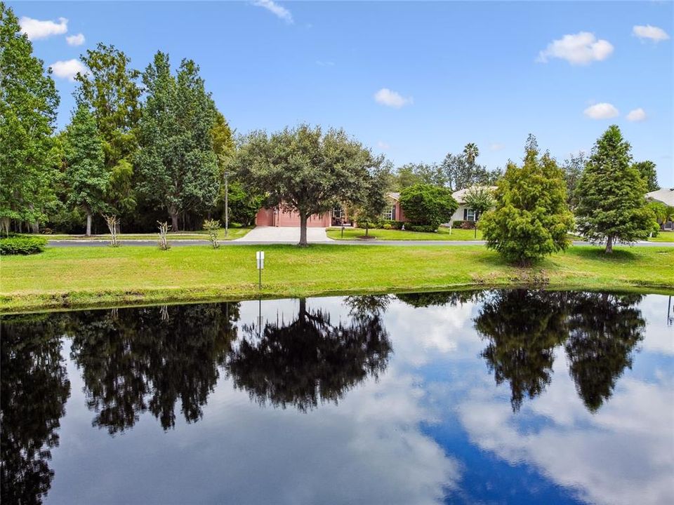 POND VIEWS FROM ACROSS