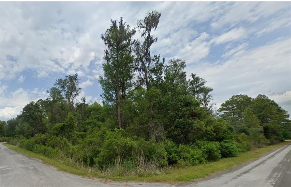 For Sale: $36,000 (1.39 acres)