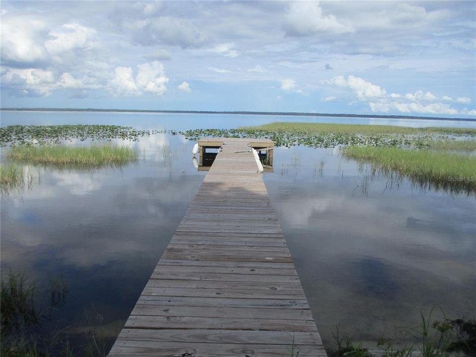 DOCK VIEW