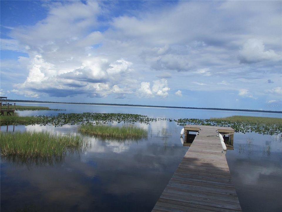 DOCK VIEW