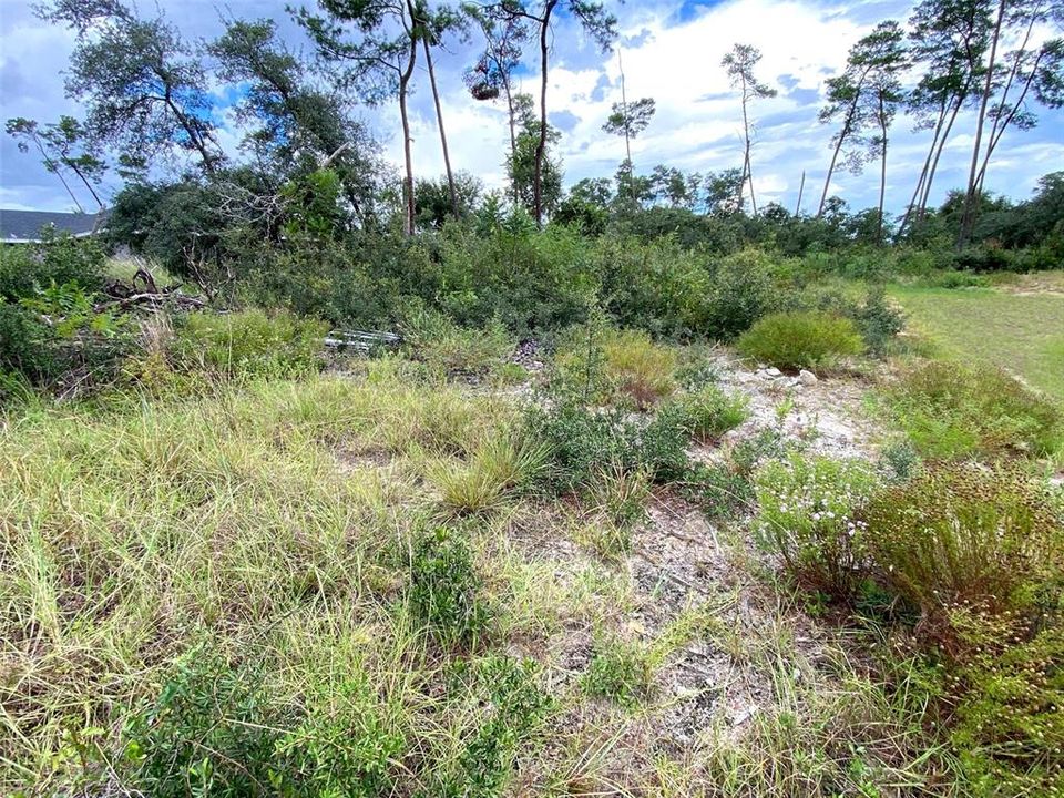 Activo con contrato: $38,900 (0.28 acres)