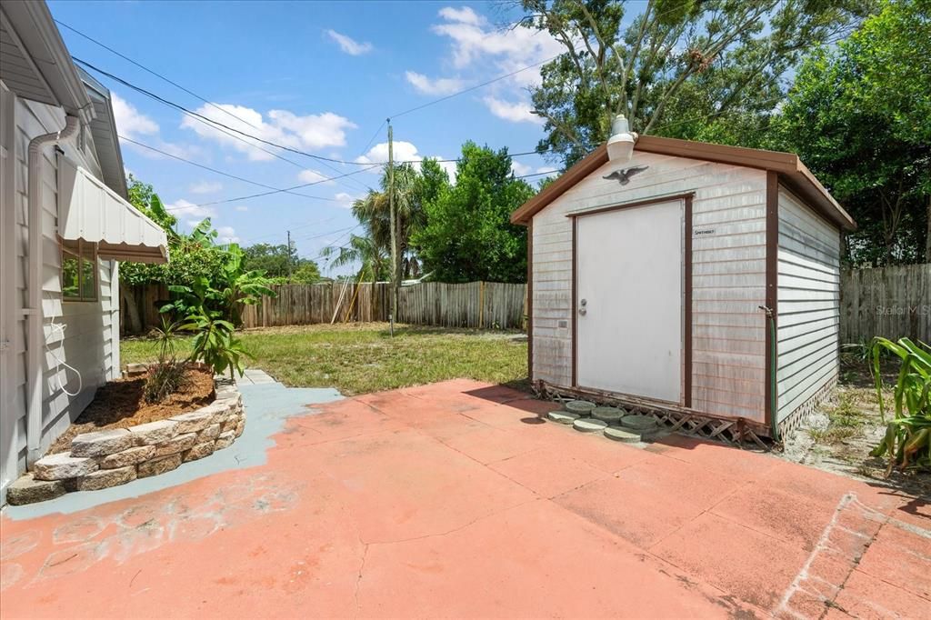 Shed to store extra things