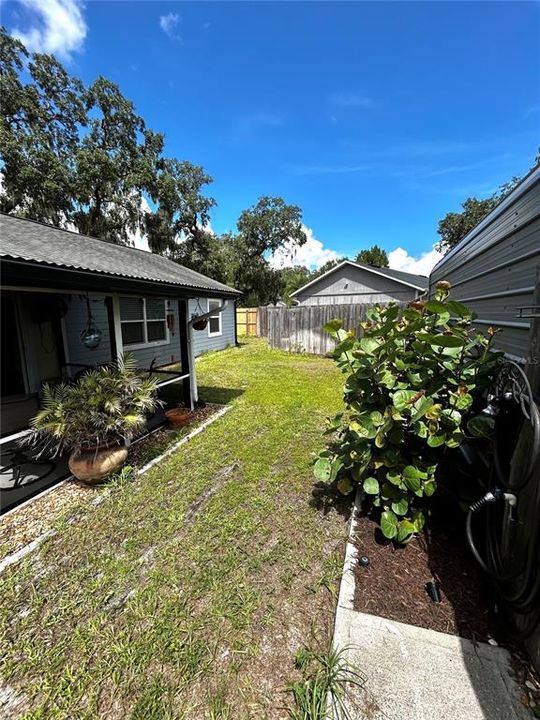 Backyard behind house