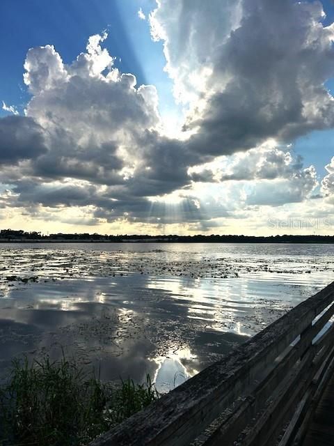 View of Turkey Lake from Community Dock