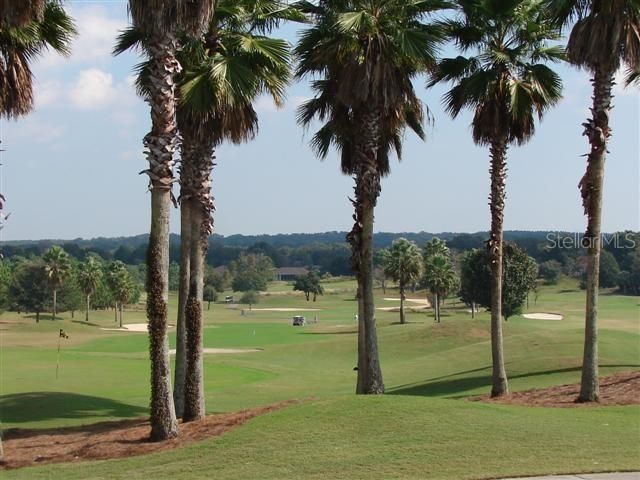 Golf Course