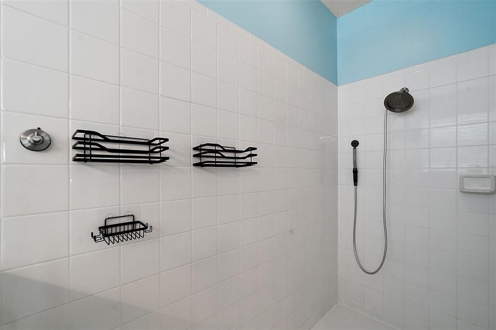 Primary Bathroom with Walk-in Shower