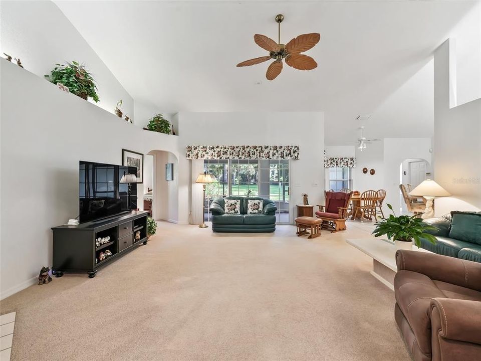 Living Space with Vaulted Ceilings