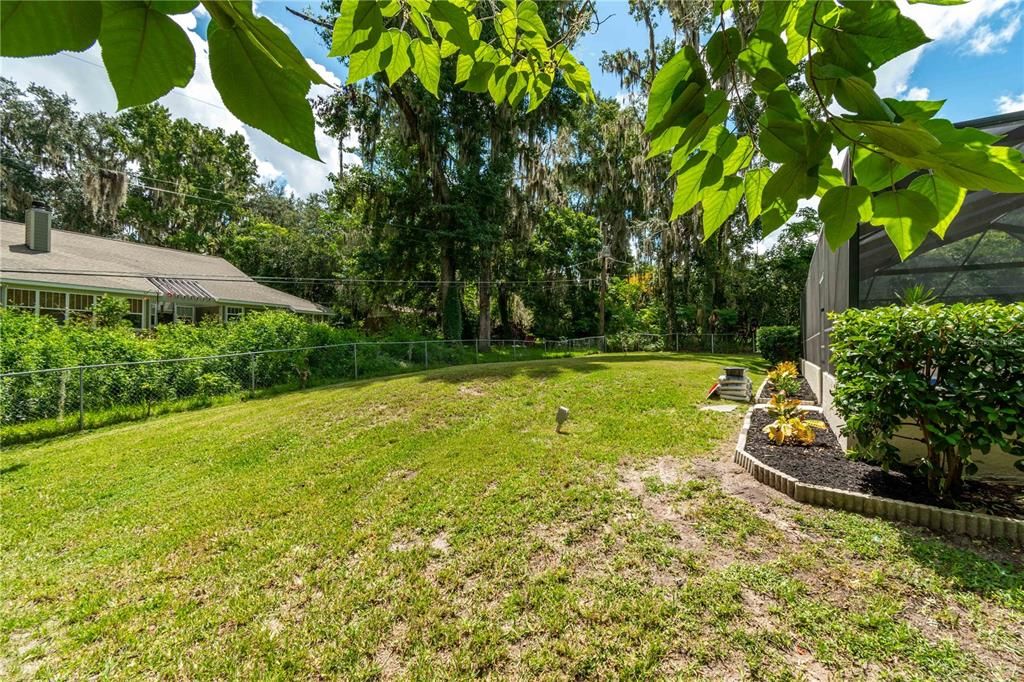 Expansive backyard