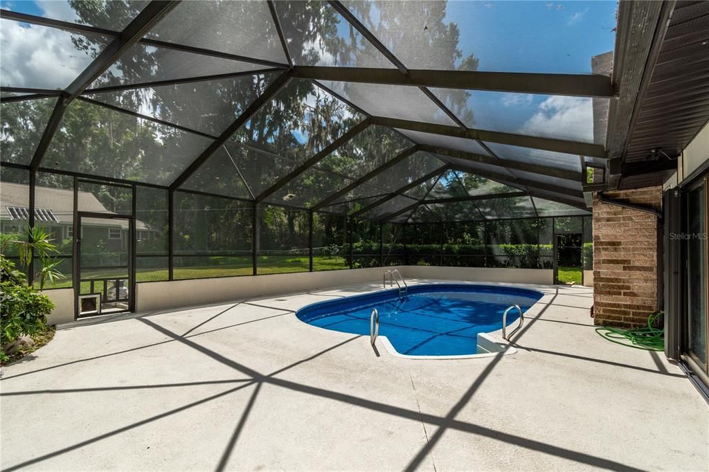 Enjoyable pool and backyard