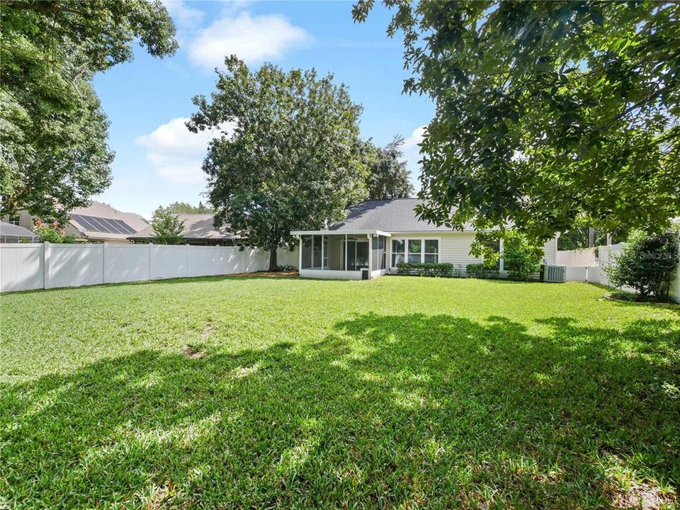 Large Open Backyard