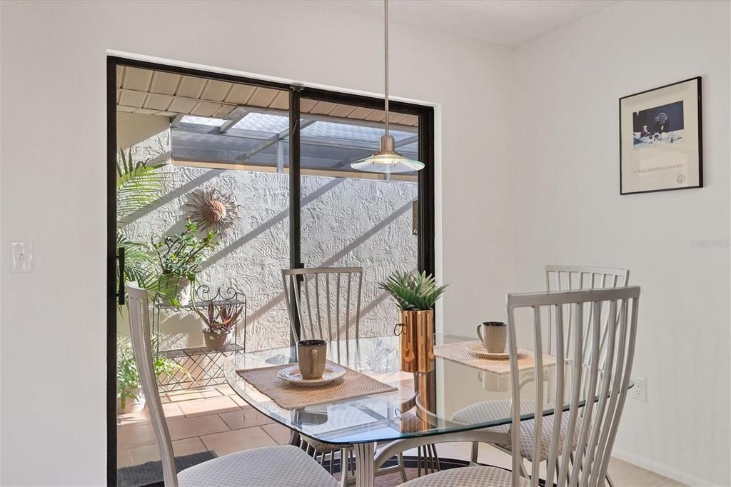 courtyard runs length of home to lake out back