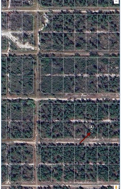 For Sale: $9,500 (0.23 acres)