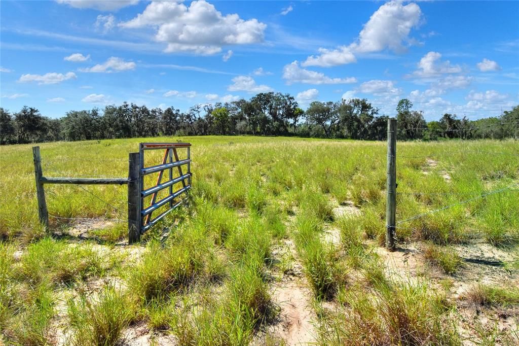 На продажу: $250,000 (12.52 acres)