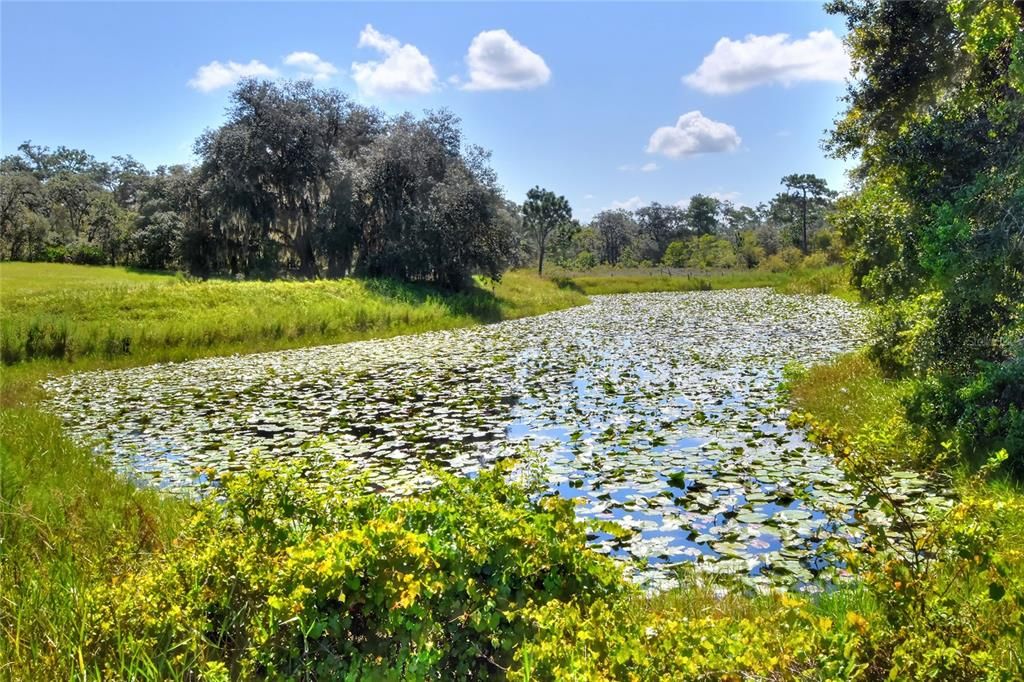 На продажу: $250,000 (12.52 acres)