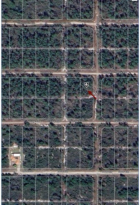 For Sale: $9,900 (0.23 acres)