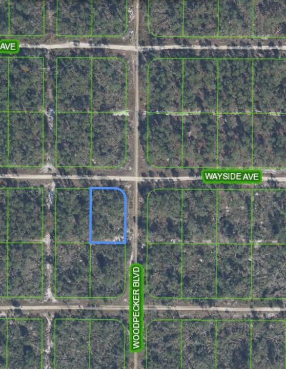 For Sale: $9,900 (0.23 acres)