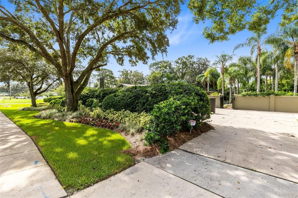 Beautiful oaks and palms!