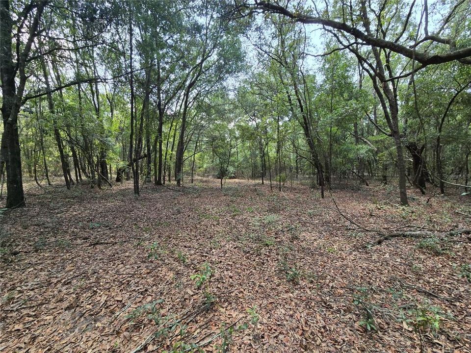 En Venta: $200,000 (14.70 acres)