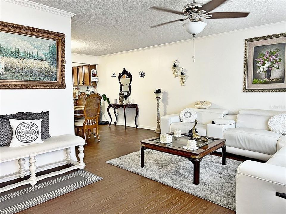 Living room w Dining room in background