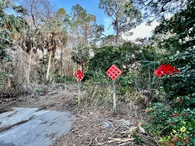 End of paved Pinewood Dr.