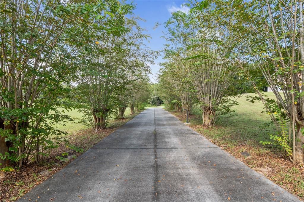 DRIVE WAY FROM ENTRY GATE