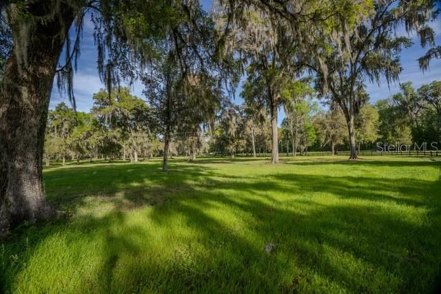 For Sale: $640,000 (31.24 acres)