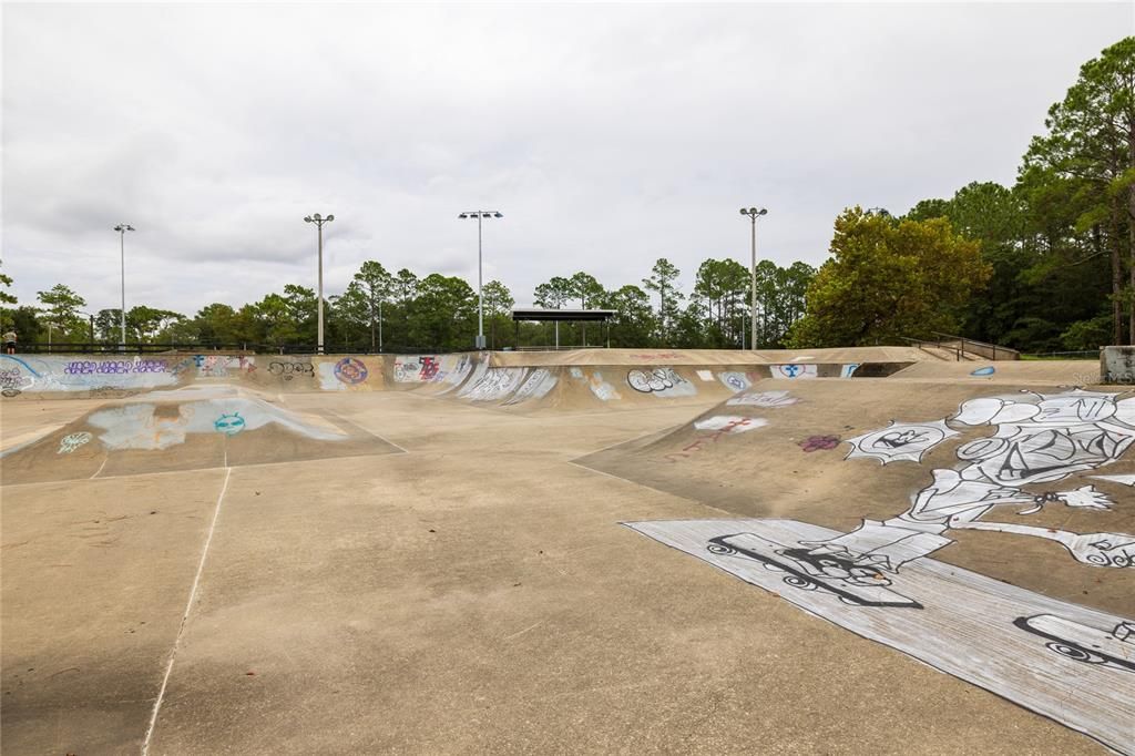 Treaty Park Skate Park