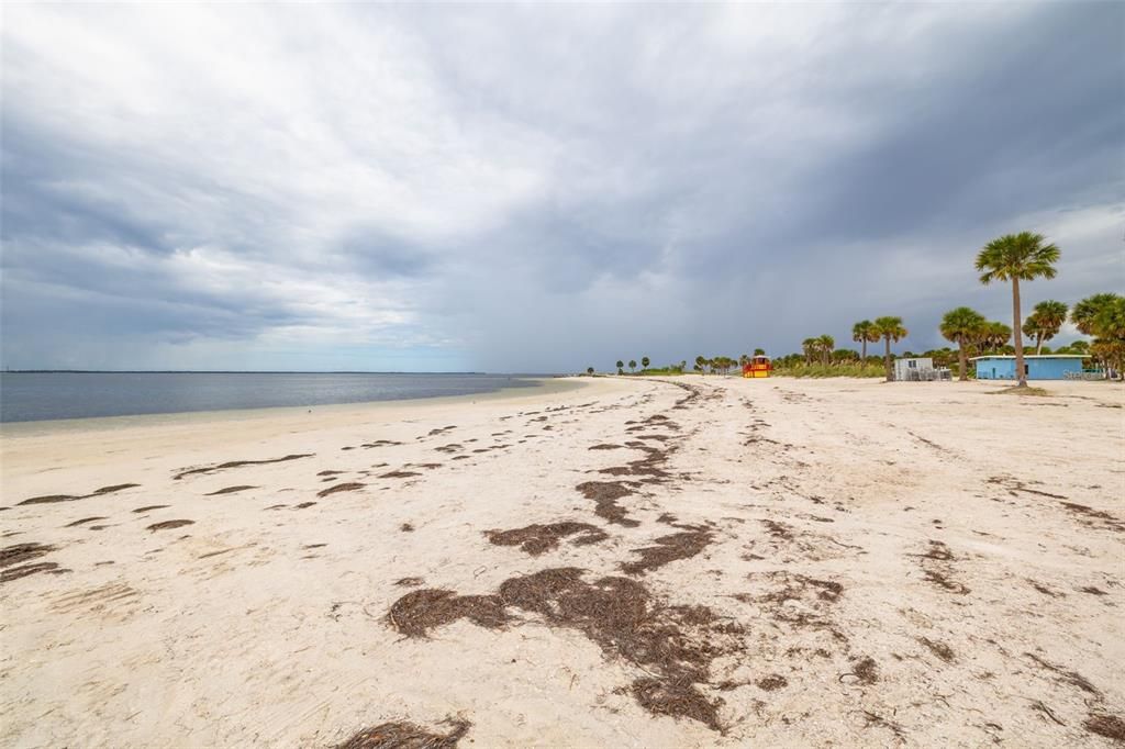 Fred Howard Park Beach