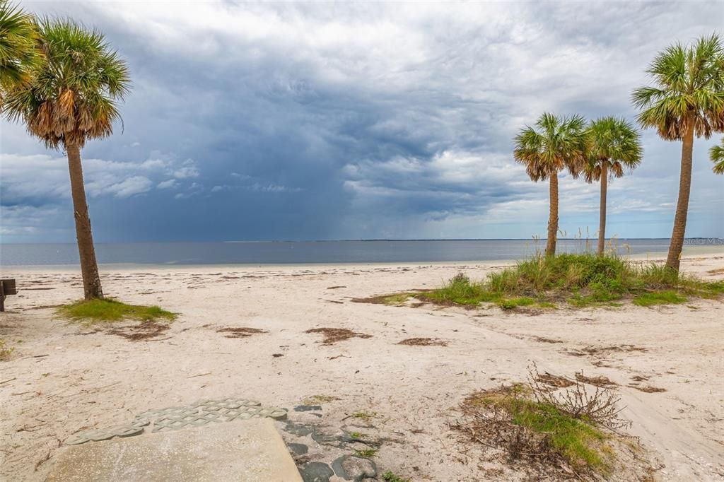 Fred Howard Park Beach