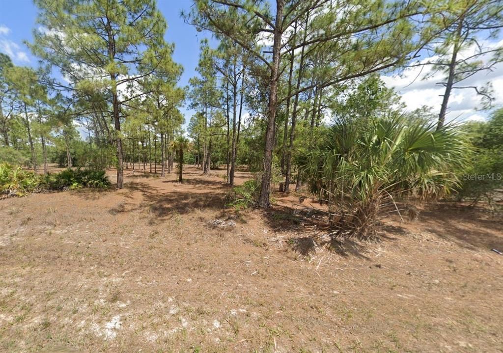 For Sale: $28,000 (0.50 acres)