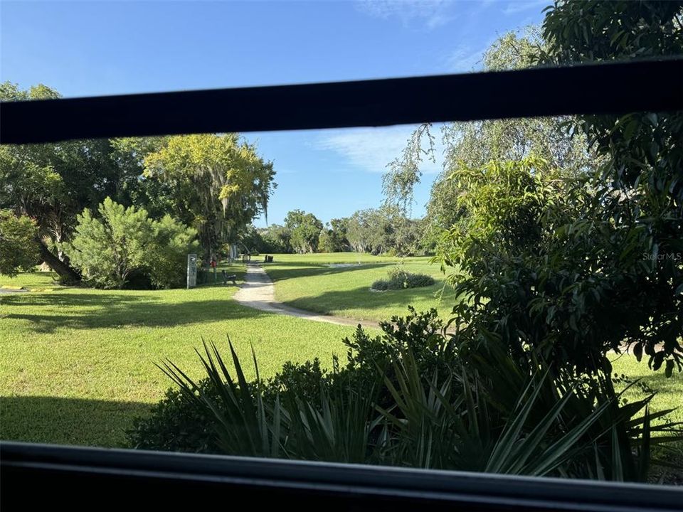 Primary  bedroom views