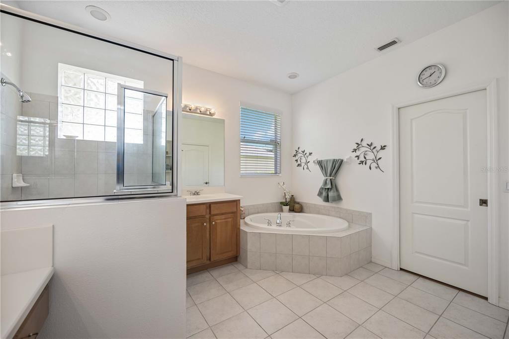 Large roman walk in shower and soaking tub.