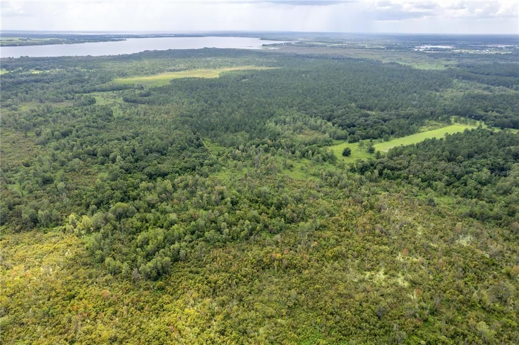 На продажу: $1,500,000 (98.27 acres)