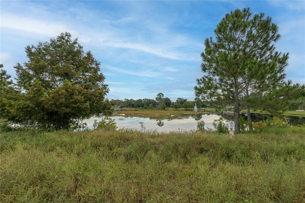 Lake Front Land