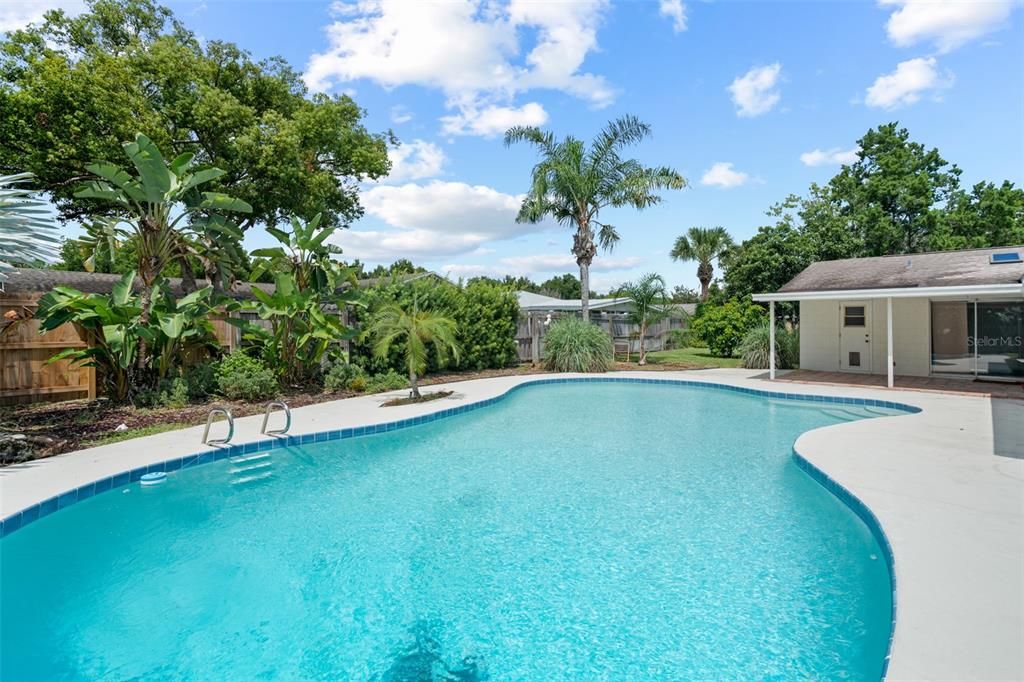 Tropical Pool oasis with Large back yard