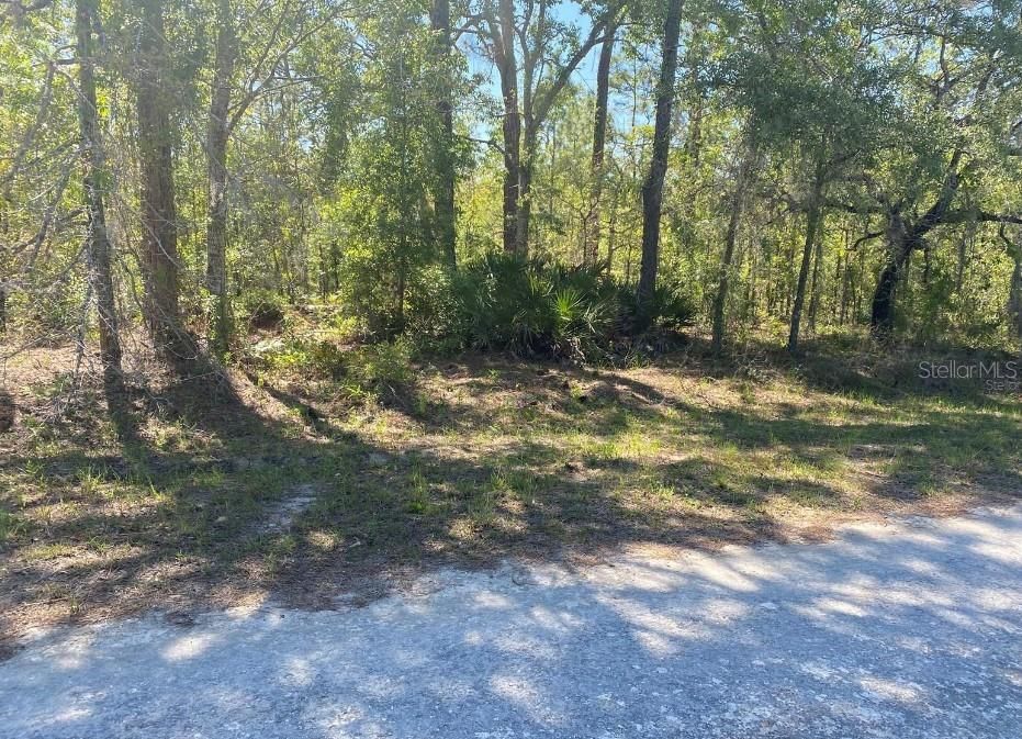 Active With Contract: $28,000 (0.46 acres)