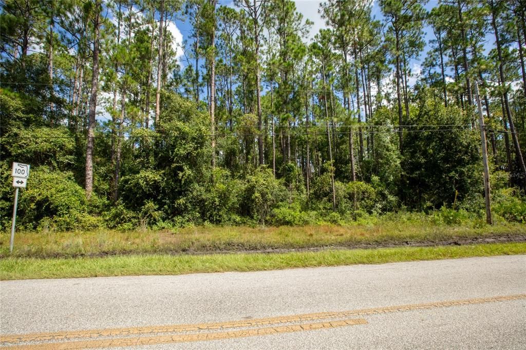 На продажу: $225,000 (1.84 acres)