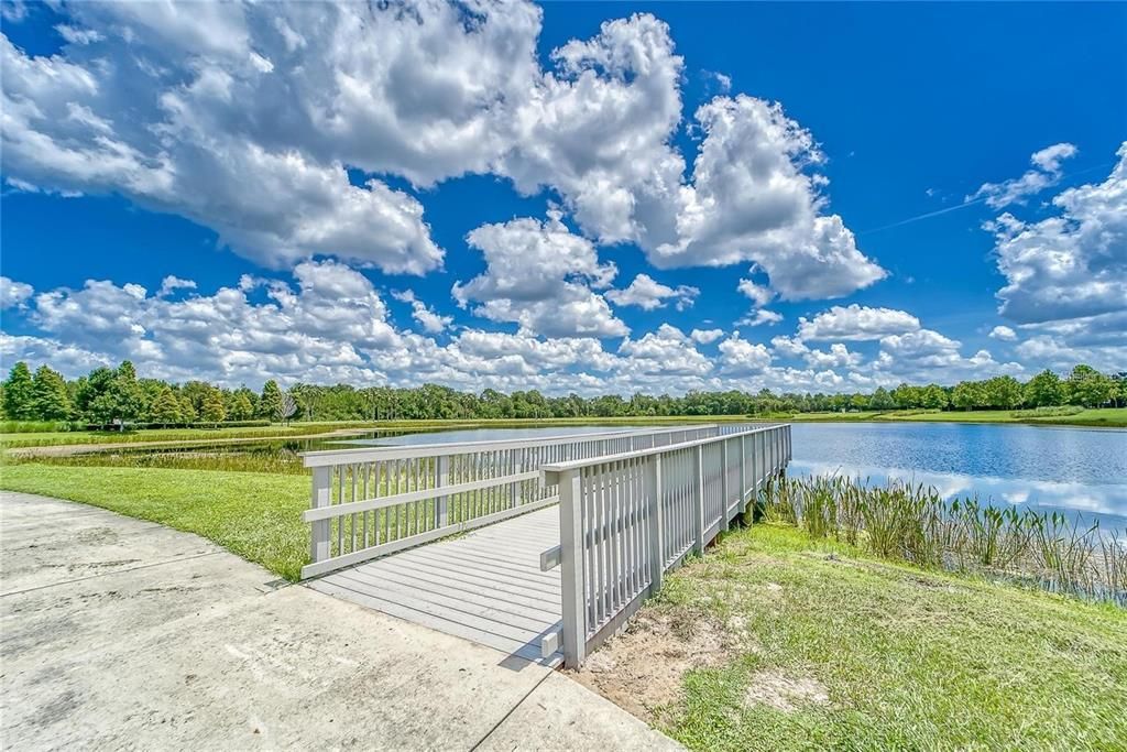 Miles of sidewalks to bike and walk