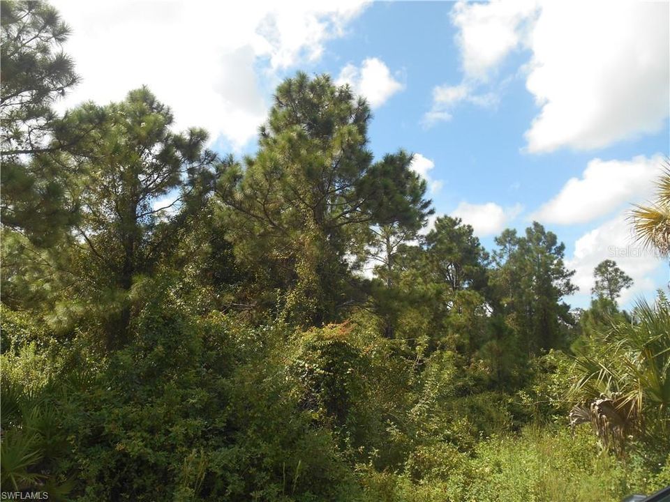 En Venta: $25,000 (0.27 acres)