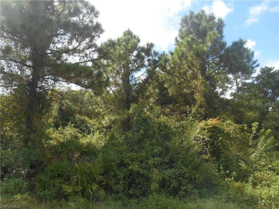 En Venta: $25,000 (0.27 acres)