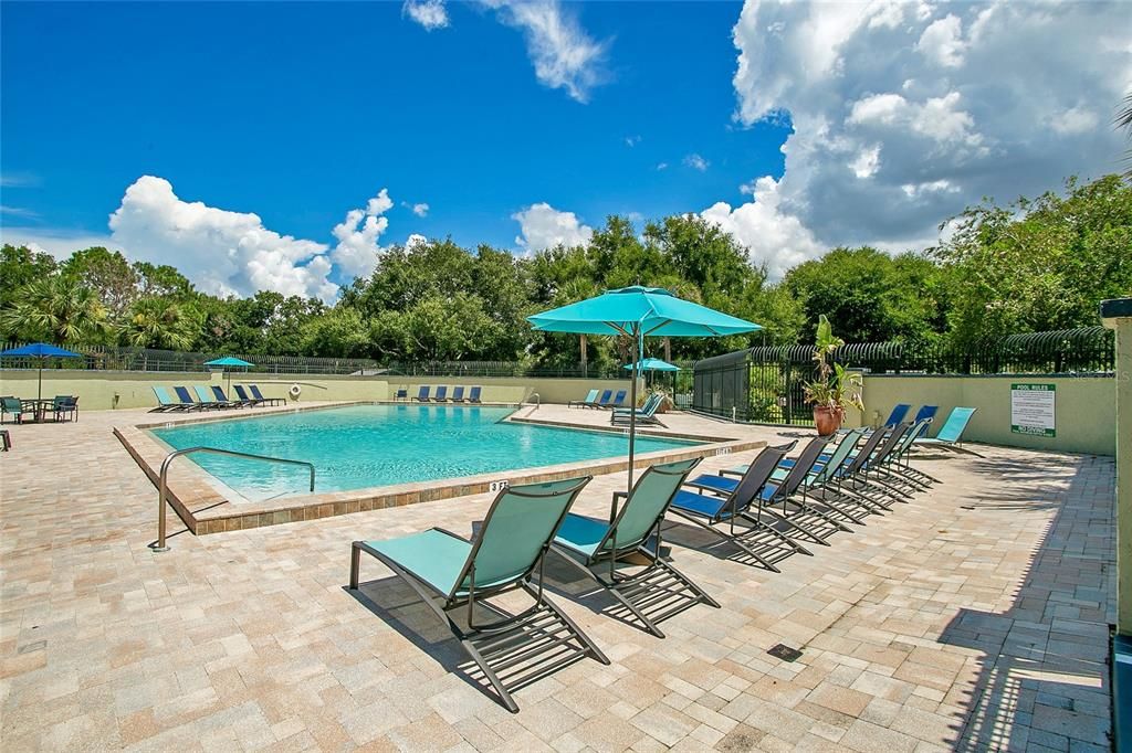 Aerial Photo - Amenities  Swimming Pool