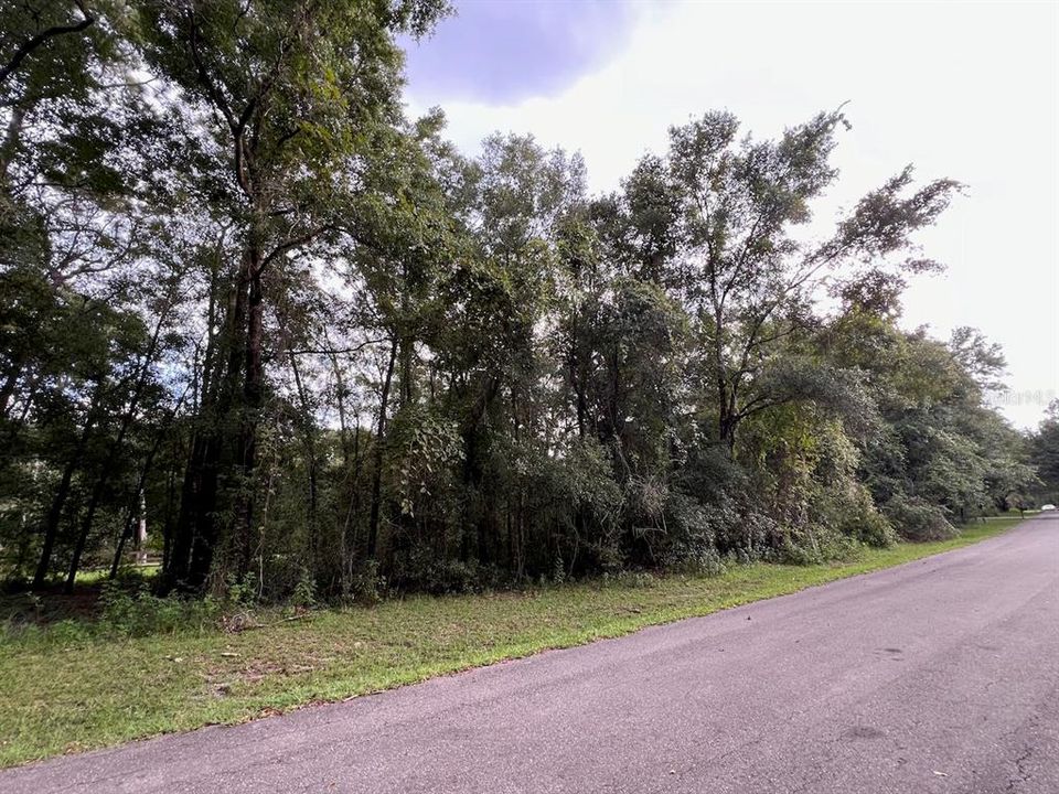 Vendido Recientemente: $125,000 (1.21 acres)