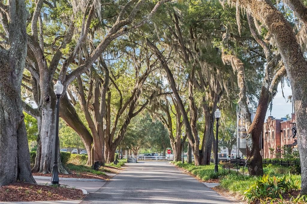 minutes to downtown winter garden miles of walking/running/biking trails