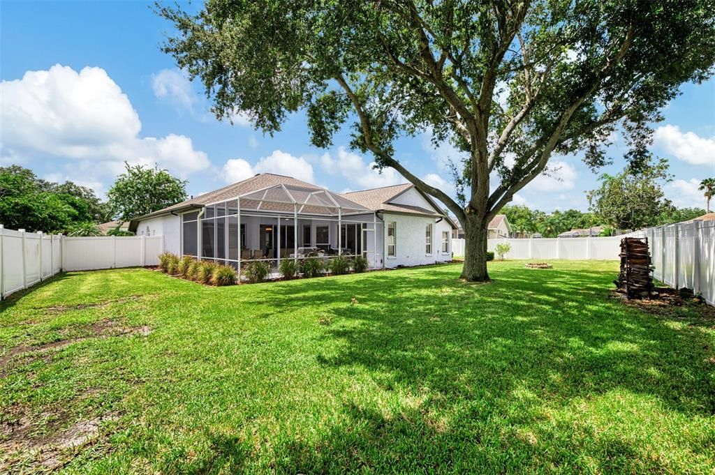 Lush backyard that is fully fenced in!