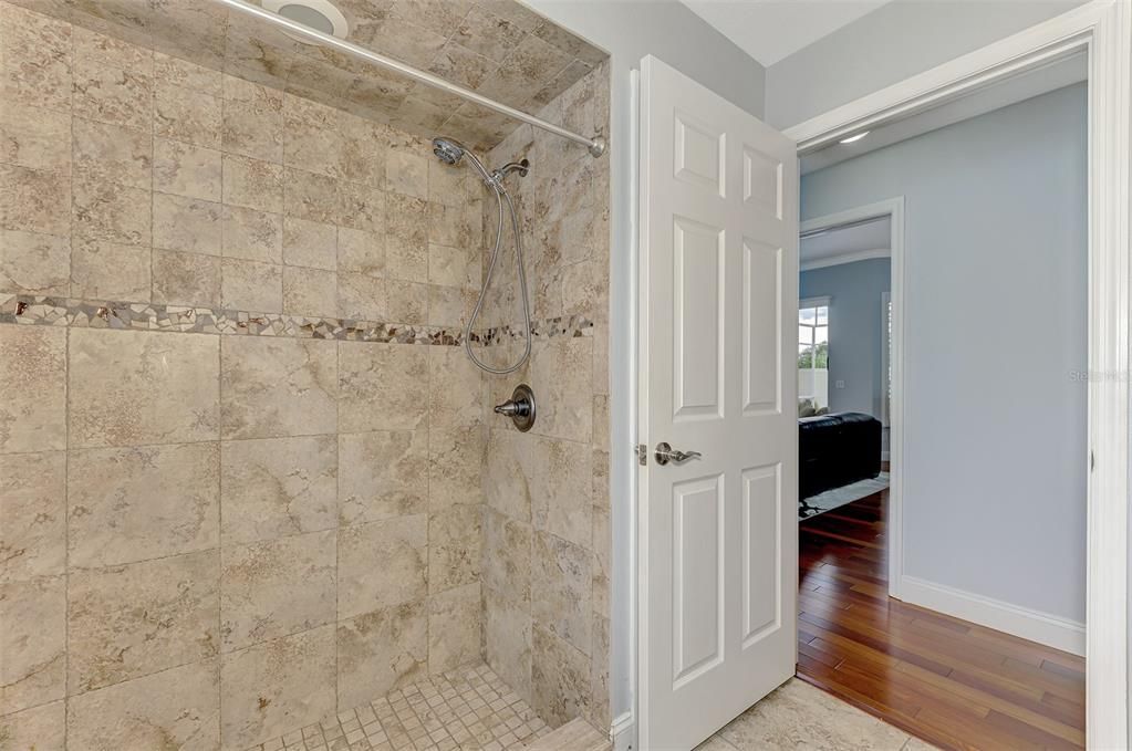 Guest bathroom with walk-in shower.