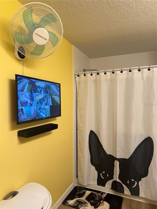 master bath with fan and security tv