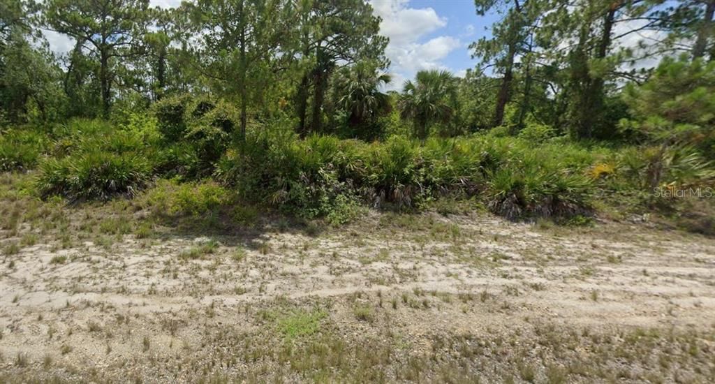 For Sale: $18,000 (0.35 acres)